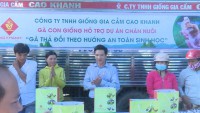 Cấp 13.000 con gà giống một ngày tuổi cho 26 hộ dân trên địa bàn huyện An Lão