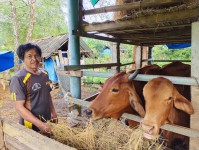 Ông Gôn làm kinh tế giỏi