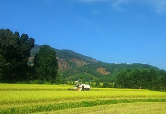 An Trung khẩn trương thu hoạch lúa vụ Đông – Xuân 2020 - 2021, chuẩn bị công tác sản xuất vụ Hè – Thu năm 2021